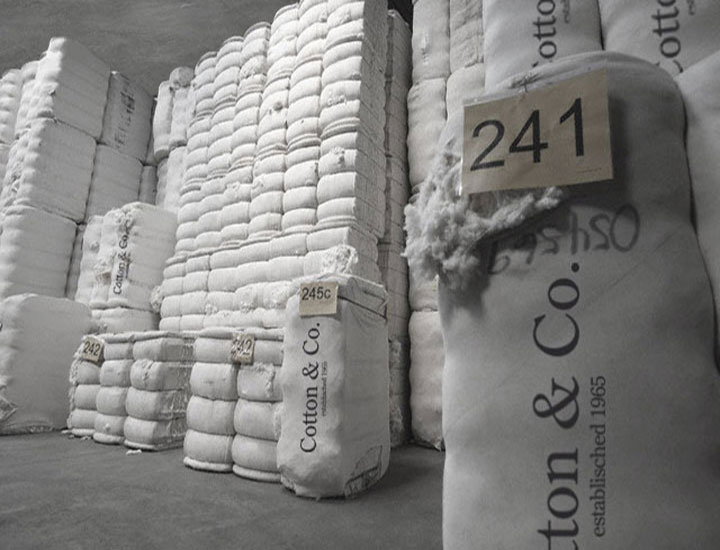 cotton-&-co-warehouse-6